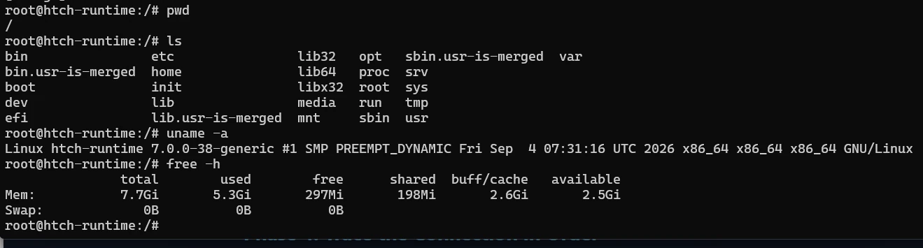 Muse terminal showing the root prompt and read-only pwd, ls, uname, and free checks