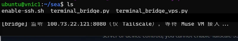 VPS terminal showing the bridge waiting for Muse; the launch command is obscured