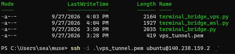 Windows PowerShell showing vps_tunnel.pem in the current directory; the VPS address is masked