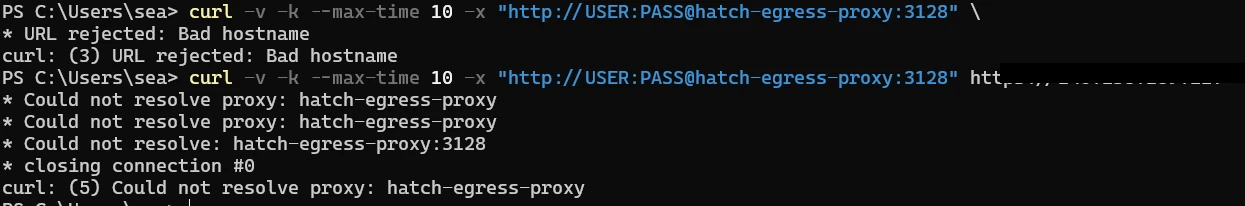 Windows PowerShell curl test failing to resolve the configured proxy hostname, with the VPS address redacted