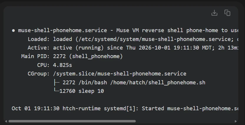 Phone-home service active and running