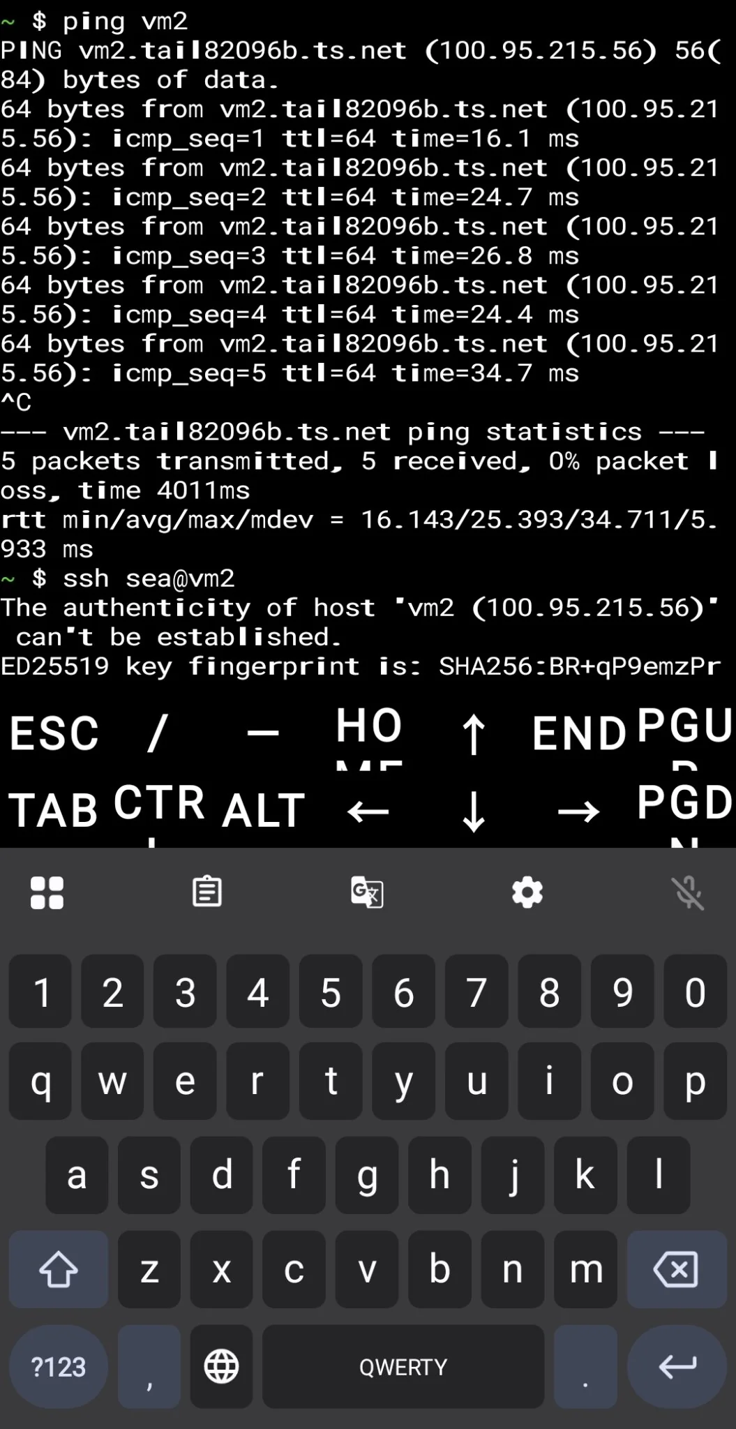 Termux ping test confirming vm2 resolves