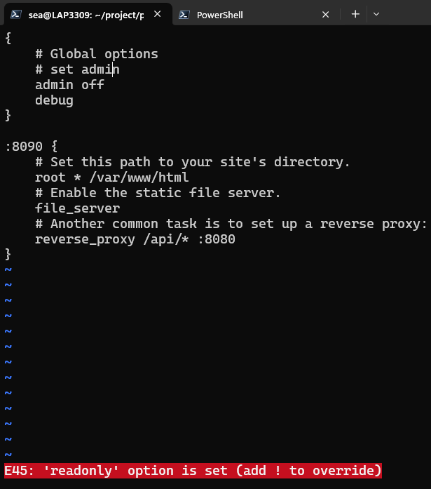 Vim E45 readonly error